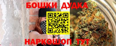 тгк Славгород