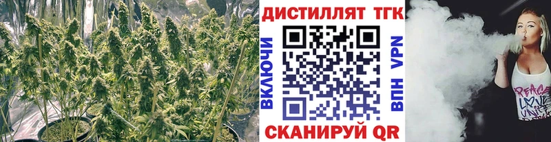 hydra зеркало  Тихвин  Дистиллят ТГК THC oil 