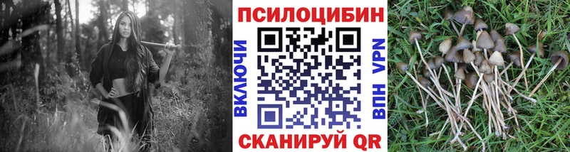 где продают   Тихвин  Галлюциногенные грибы мицелий 