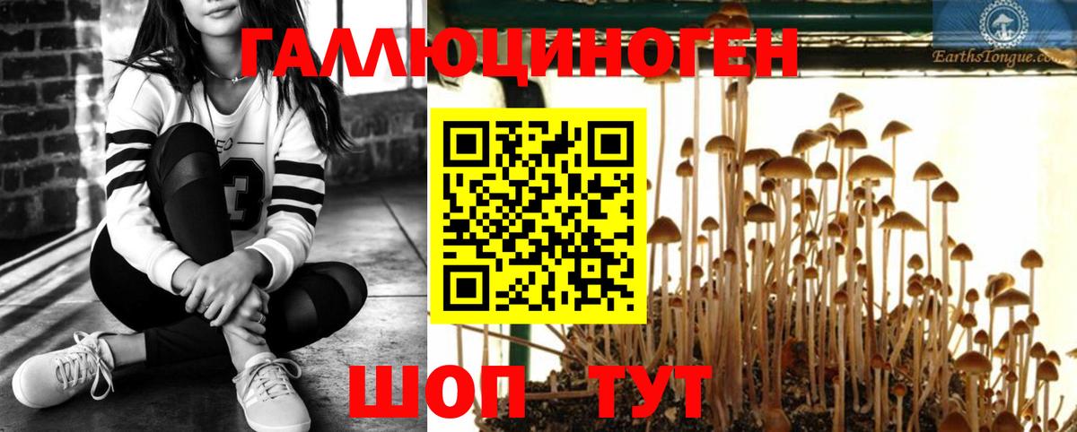 Галлюциногенные грибы мицелий Тихвин