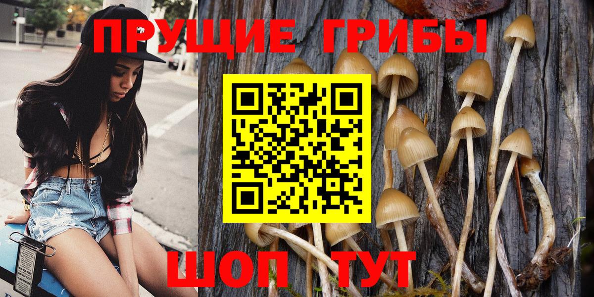 Галлюциногенные грибы GOLDEN TEACHER  Псилоцибиновые грибы Psilocybine cubensis  цены   Вход с VPN  Тихвин 